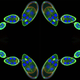 Illustration for article titled Algae Sex and Amoeba Smackdown - Best Microscopy Videos of the Year